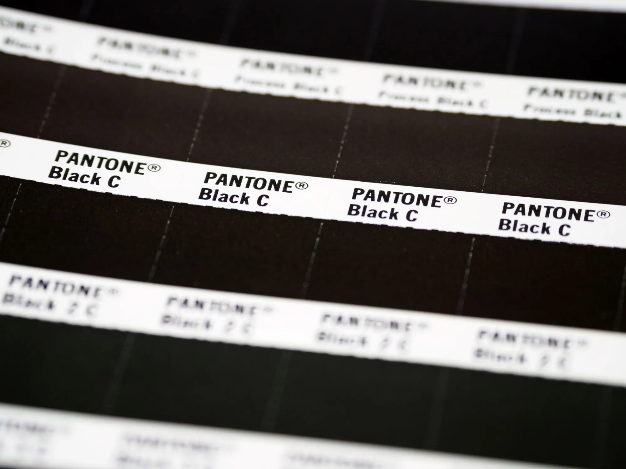 Brand colour swatches and type samples
