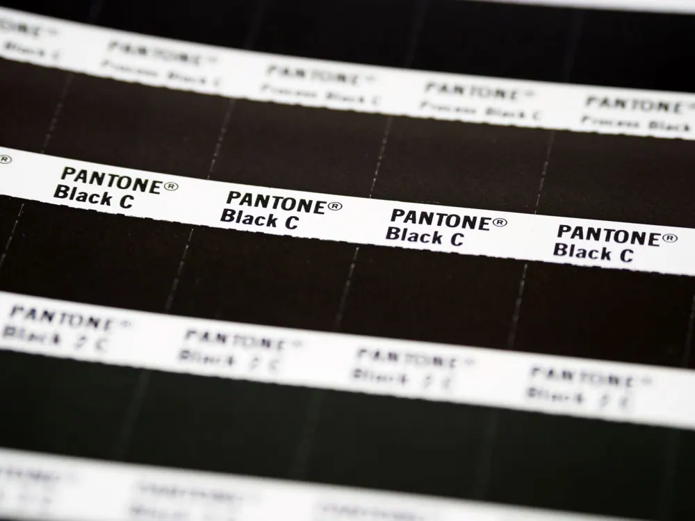 Brand colour swatches and type samples